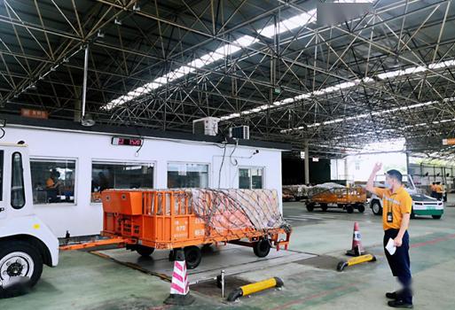白云機場國內貨站開通綠色通道，助力鮮活魚蝦苗運輸高效無憂